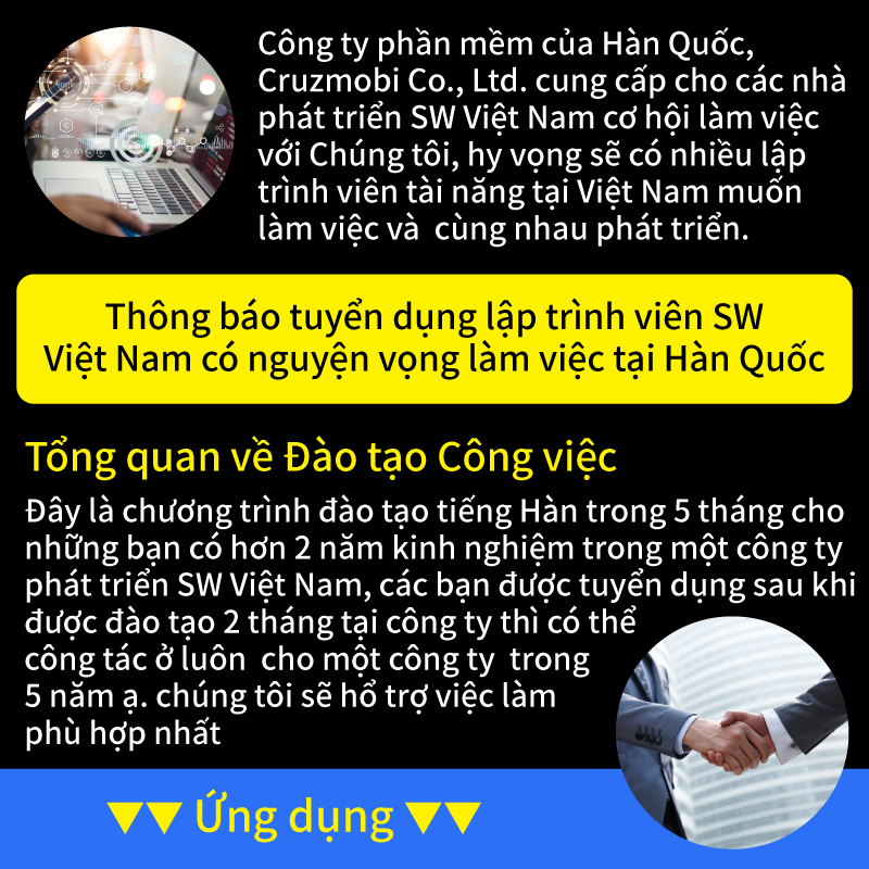 Vietnamese SW developer images